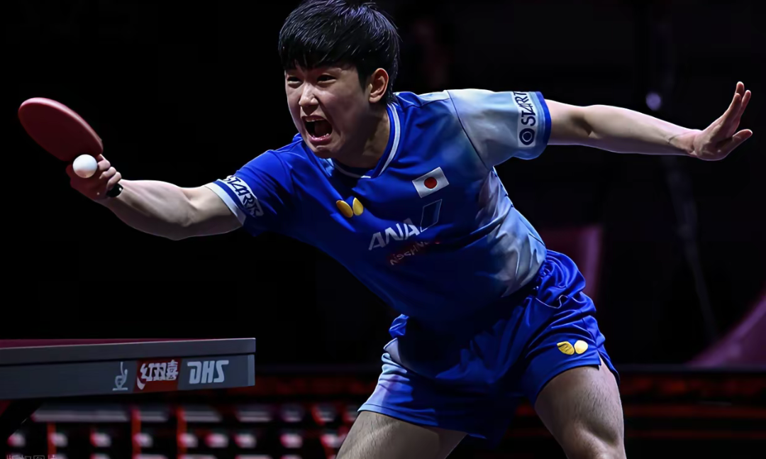 瑞典队碾压奥地利队，张本智和刷新纪录